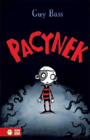 Pacynek [KSĄŻKA]