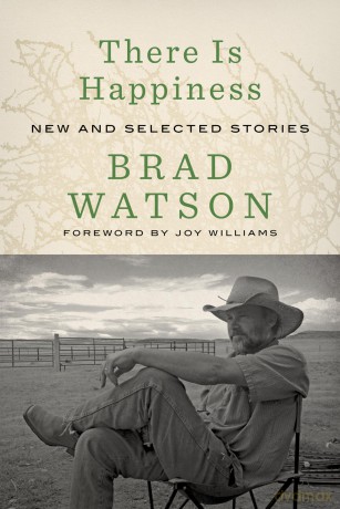 There Is Happiness: New and Selected Stories - Brad Watson [KSIĄŻKA]
