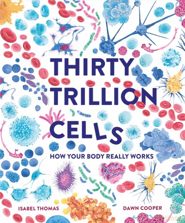 Thirty Trillion Cells: How Your Body Really Works - Isabel Thomas [KSIĄŻKA]