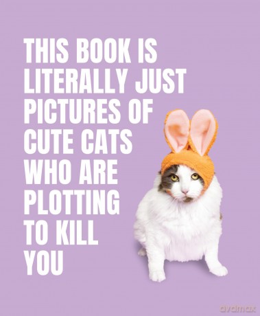 This Book is Literally Just Pictures of Cute Cats Who Are Plotting to Kill You - Smith Street Books [KSIĄŻKA]