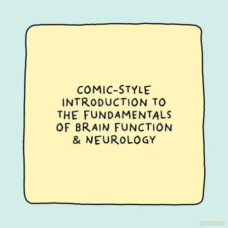 This Is My Brain!: A Book on Neurodiversity - Elise Gravel [KSIĄŻKA]