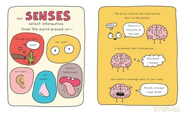This Is My Brain!: A Book on Neurodiversity - Elise Gravel [KSIĄŻKA]