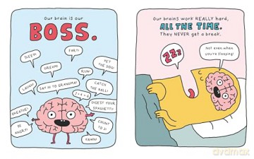 This Is My Brain!: A Book on Neurodiversity - Elise Gravel [KSIĄŻKA]