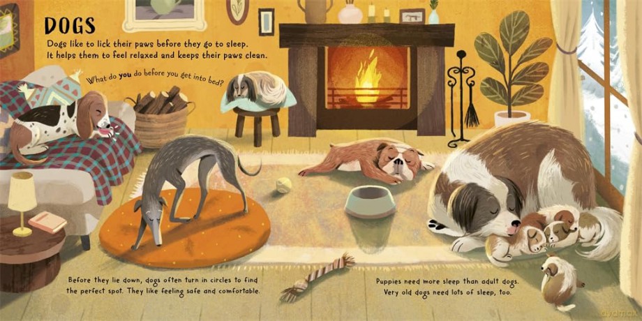 Time for Bed, Animals: Bedtime non-fiction full of sleepy animals and facts - Ben Lerwill [KSIĄŻKA]