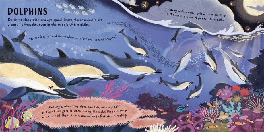 Time for Bed, Animals: Bedtime non-fiction full of sleepy animals and facts - Ben Lerwill [KSIĄŻKA]
