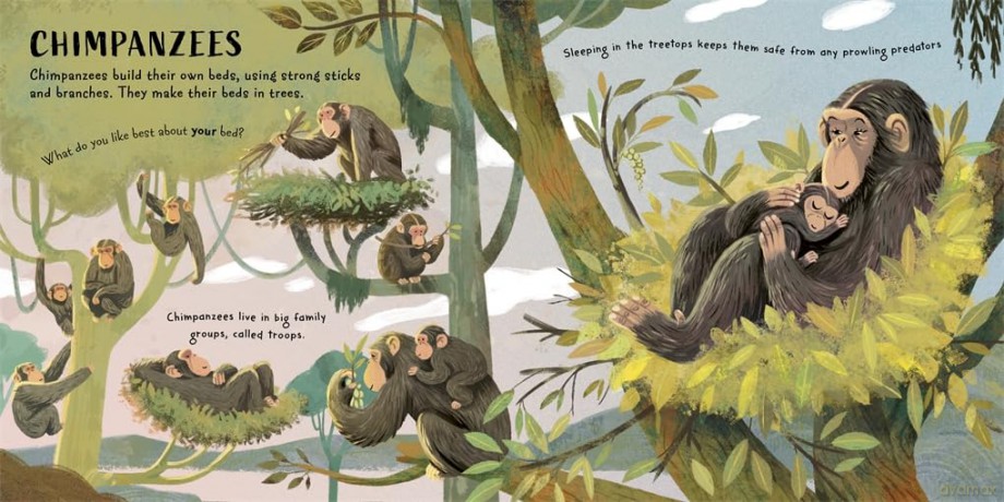 Time for Bed, Animals: Bedtime non-fiction full of sleepy animals and facts - Ben Lerwill [KSIĄŻKA]