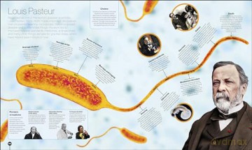 Timelines of Extraordinary Lives (DK Children's Timelines) [KSIĄŻKA]