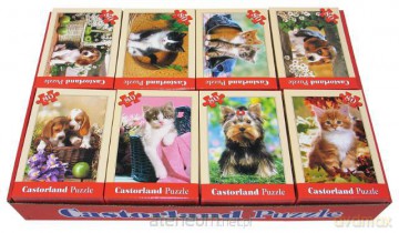 Pakiet Puzzle 16x80 Pupile CASTOR [PUZZLE]