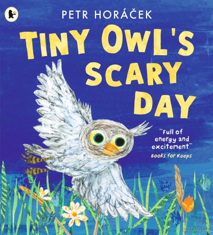 Tiny Owl's Scary Day - Petr Horácek [KSIĄŻKA]