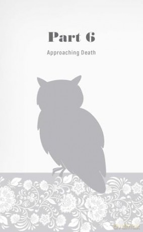 Tolstoy in Search of Truth and Meaning: Wisdom from His Letters, Novels, Essays and Conversations - Leo Tolstoy [KSIĄŻKA]