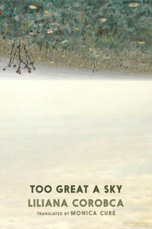 Too Great A Sky - Liliana Corobca [KSIĄŻKA]