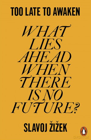 Too Late to Awaken: What Lies Ahead When There is No Future - Slavoj Žižek [KSIĄŻKA]