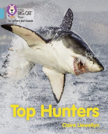 Top Hunters: Band 07/Turquoise (Collins Big Cat Phonics for Letters and Sounds) - Claire Llewellyn [KSIĄŻKA]