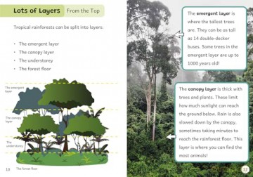 Totally Tropical Rainforests: (Gold Band) (Maverick Non-Fiction) [KSIĄŻKA]