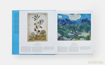 Tree: Exploring the Arboreal World - Phaidon Editors [KSIĄŻKA]
