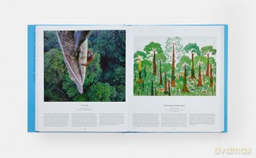Tree: Exploring the Arboreal World - Phaidon Editors [KSIĄŻKA]