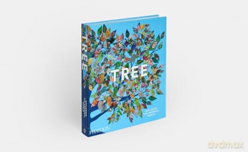 Tree: Exploring the Arboreal World - Phaidon Editors [KSIĄŻKA]