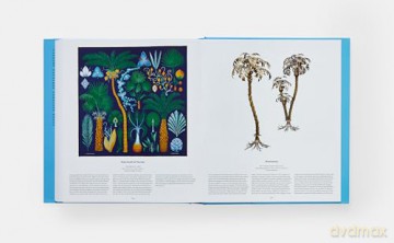 Tree: Exploring the Arboreal World - Phaidon Editors [KSIĄŻKA]