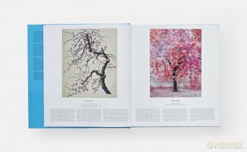 Tree: Exploring the Arboreal World - Phaidon Editors [KSIĄŻKA]