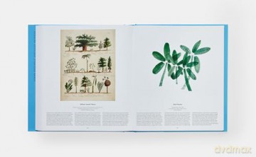 Tree: Exploring the Arboreal World - Phaidon Editors [KSIĄŻKA]