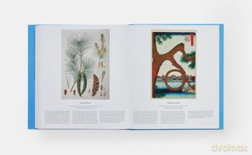 Tree: Exploring the Arboreal World - Phaidon Editors [KSIĄŻKA]