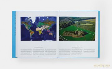 Tree: Exploring the Arboreal World - Phaidon Editors [KSIĄŻKA]