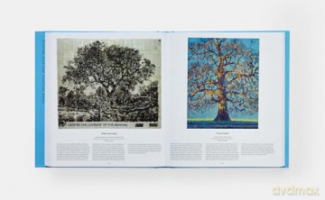 Tree: Exploring the Arboreal World - Phaidon Editors [KSIĄŻKA]