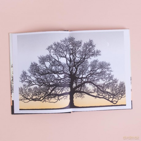 Trees in Winter: A beautiful book for anyone who loves printmaking and nature - Richard Shimell [KSIĄŻKA]