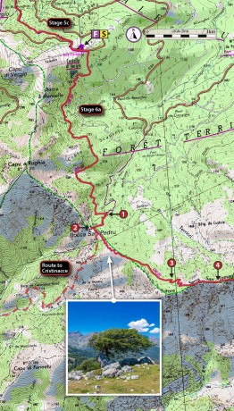 Trekking the Corsica GR20: Two-way trekking guide - Real IGN Maps 1:25,000 (The Great Treks of the World) - Andrew McCluggage [KSIĄŻKA]