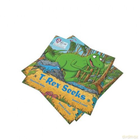 T-Rex Seeks: Phase 3 Set 1 Blending practice (Big Cat Phonics for Little Wandle Letters and Sounds Revised) - Charlotte Raby [KSIĄŻKA]