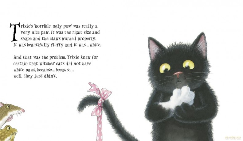 Trixie the Witch's Cat - Nick Butterworth [KSIĄŻKA]