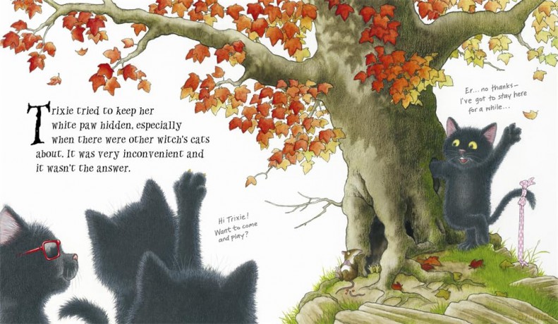 Trixie the Witch's Cat - Nick Butterworth [KSIĄŻKA]