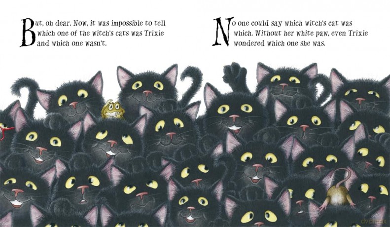 Trixie the Witch's Cat - Nick Butterworth [KSIĄŻKA]
