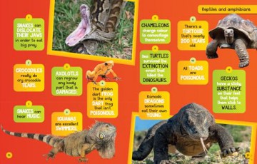 True or False: A fun-filled family game book (National Geographic Kids) - National Geographic Kids [KSIĄŻKA]