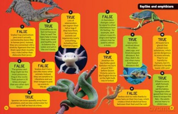 True or False: A fun-filled family game book (National Geographic Kids) - National Geographic Kids [KSIĄŻKA]