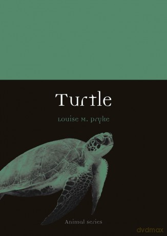 Turtle (Animal) - Louise M. Pryke [KSIĄŻKA]