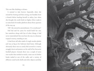 Turtle Moon: A thrilling new illustrated animal adventure for kids from the Sunday Times bestselling author of THE LAST BEAR - Hannah Gold [KSIĄŻKA]