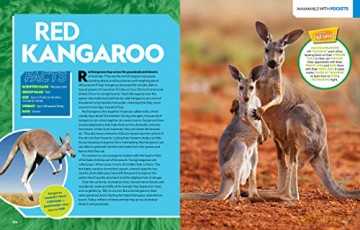 Ultimate Mammalpedia: The Most Complete Mammal Reference Ever (National Geographic Kids) - Stephanie Warren Drimmer [KSIĄŻKA]