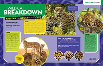 Ultimate Mammalpedia: The Most Complete Mammal Reference Ever (National Geographic Kids) - Stephanie Warren Drimmer [KSIĄŻKA]