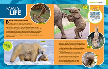 Ultimate Mammalpedia: The Most Complete Mammal Reference Ever (National Geographic Kids) - Stephanie Warren Drimmer [KSIĄŻKA]