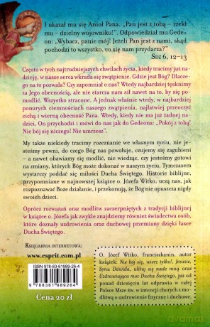 Pan jest z Tobą dzielny wojowniku [KSĄŻKA]