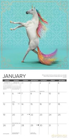 Unicorn Yoga 2025 Mini [KSIĄŻKA]