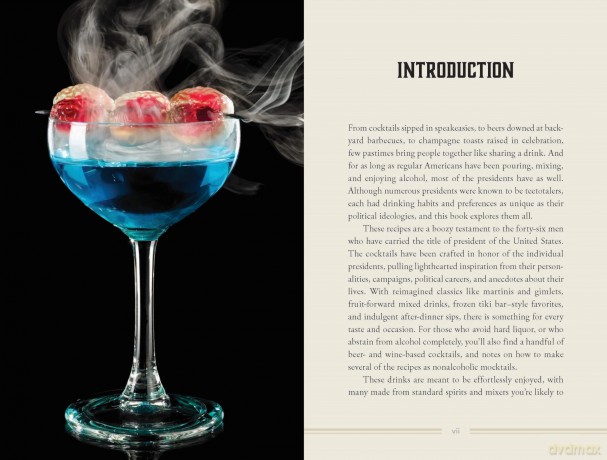 United We Drink: 50 Cocktail Recipes Inspired by the US Presidents - Harper Celebrate [KSIĄŻKA]