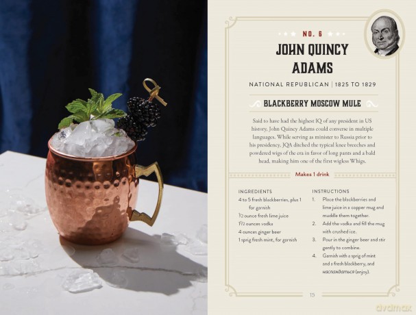 United We Drink: 50 Cocktail Recipes Inspired by the US Presidents - Harper Celebrate [KSIĄŻKA]