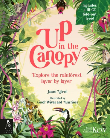 Up in the Canopy: Explore the Rainforest, Layer by Layer - James Aldred [KSIĄŻKA]