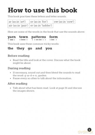 Urban Art - Little Wandle high-low decodable reader for ages 7+ (Striders Phonics Readers) - Abbie Rushton [KSIĄŻKA]