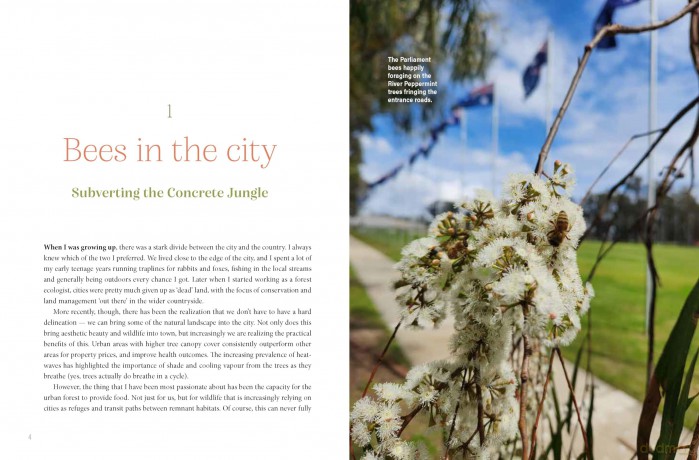 Urban Beekeeping: The city as a hive - Cormac Farrell [KSIĄŻKA]