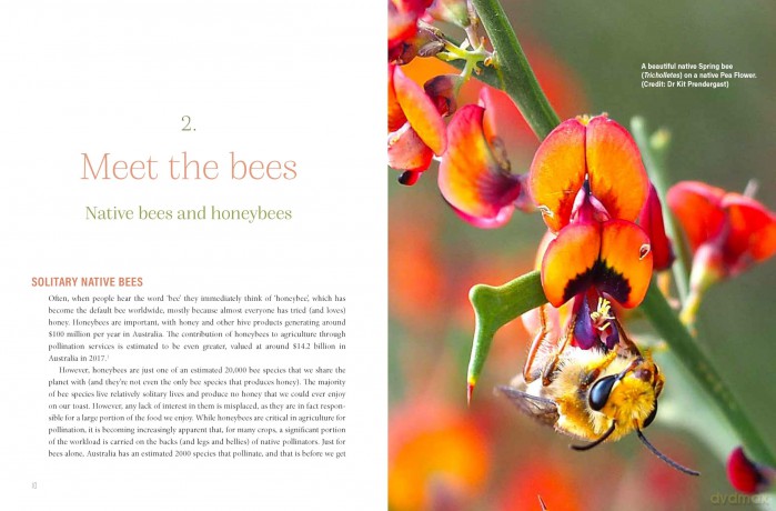Urban Beekeeping: The city as a hive - Cormac Farrell [KSIĄŻKA]