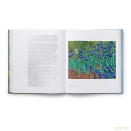 Van Gogh: Poets and Lovers - Cornelia Homburg [KSIĄŻKA]
