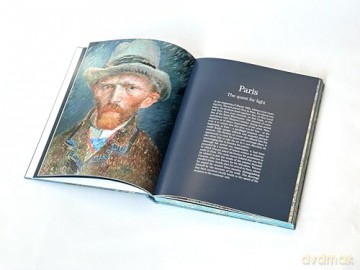 Van Gogh: The Bigger Picture - Anne Sefrioui [KSIĄŻKA]